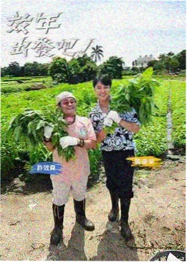 称呼变化 剧情解析 配图
